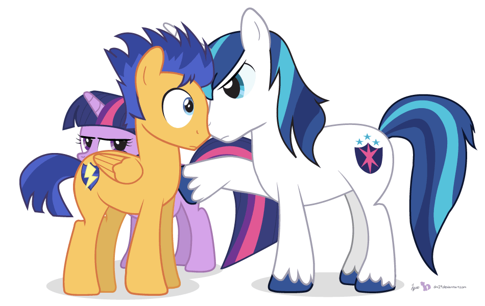 User blog:Isabel Sparkle/Flash Sentry + Twilight Sparkle | My Little Pony  Friendship is Magic Wiki | Fandom