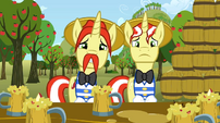 A couple of sad sales ponies.