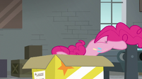 Pinkie jumping into a cardboard box S9E14