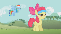 Rainbow Dash -Are you ready-- S1E12