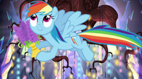 Rainbow helps decorate the castle S5E19