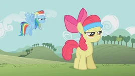 S01E12 Rainbow Dash rozpoczyna trening Apple Bloom