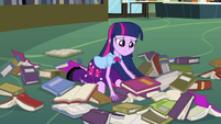 Twilight with a pile of books EG