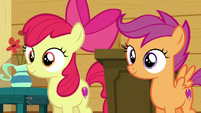 Apple Bloom and Scootaloo hear Sweetie Belle S6E4