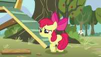 Apple Bloom asks her friends what their cutie marks are S5E4