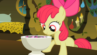 Apple Bloom looking curiously into the bowl S2E6