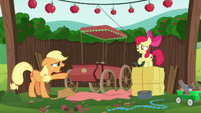 Applejack "I thought we covered this!" S6E14