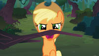 Applejack about to bite the tree branch S3E9