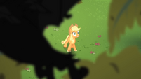 Applejack sees the bats flying S4E07