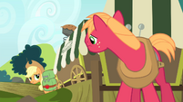 Big Mac listening to Applejack talking S4E17