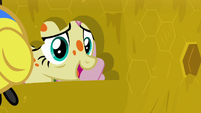 Fluttershy asking the flash bees for honey S7E20