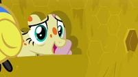 Fluttershy asking the flash bees for honey S7E20.png (674 KB)