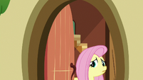 Fluttershy nervously answers the door S6E15
