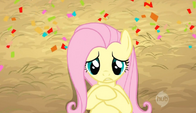 Fluttershy was startled S2E14