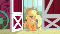 Net drops on Applejack S9E10