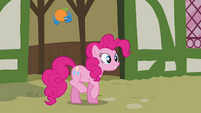 Pinkie Pie 'What a cute orange birdy' S3E3