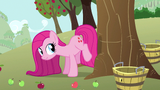 Pinkie Pie has a plan S3E13