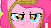 Pinkie stares at Applejack S1E25