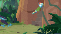 Rainbow Dash pulled up by Daring Do S9E21