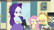 Rarity, Fluttershy, and AJ displeased by Rainbow's words EG2.png