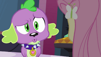 Spike confused by Fluttershy's behavior EG