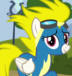 Surprise ID S6E7.png