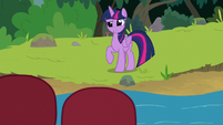 Twilight Sparkle looking very confused S8E9