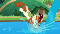 Autumn splashes in the water more S8E23