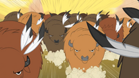 A wild stampede of buffalo appear.