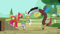 Discord appears in front of Spike and Big Mac S6E17