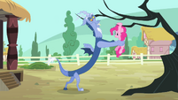 Discord putting Pinkie hanging on a branch S4E11