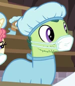 Doctor Spring Bud ID S6E23