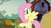 Fluttershy "it was a good plan" S5E23