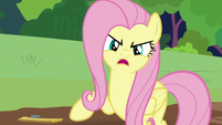 Fluttershy -what animals need is a sanctuary- S7E5