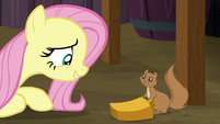 Fluttershy and squirrel smiling S5E23