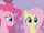 Fluttershy its... S01E14.png