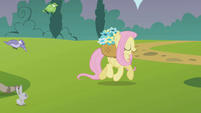 Fluttershy lalala S01E10