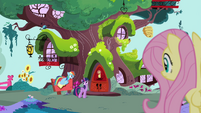 Fluttershy sees Rainbow and Twilight S4E21