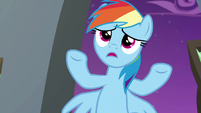 Rainbow Dash "totally, perfectly" S6E7