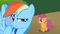 Rainbow Dash wait a minute S2E8