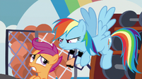 Rainbow glares at Scootaloo in disapproval S8E12