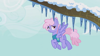 Rainbowshine looks at the icicles on the trees S1E11