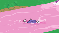 Rarity sinking into the water PLS1E11a
