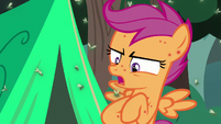 Scootaloo -what are these things-!- S7E16