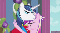 Shining Armor finally looks serious.