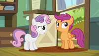 Sweetie Belle brings up the fact that Scootaloo and Rainbow are not technically sisters S5E17