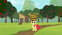 Apple Bloom laughing S2E05