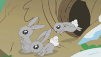 Bunnies coming out of the burrow S01E11