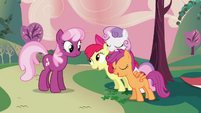 Cheerilee meeting CMC S2E17