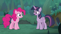 Fake Twilight "looking for Fluttershy and Rainbow Dash" S8E13